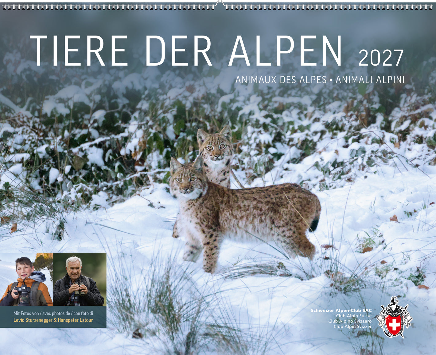 Hanspeter Latour, Levio Sturzenegger | Tiere der Alpen – Kalender 2027